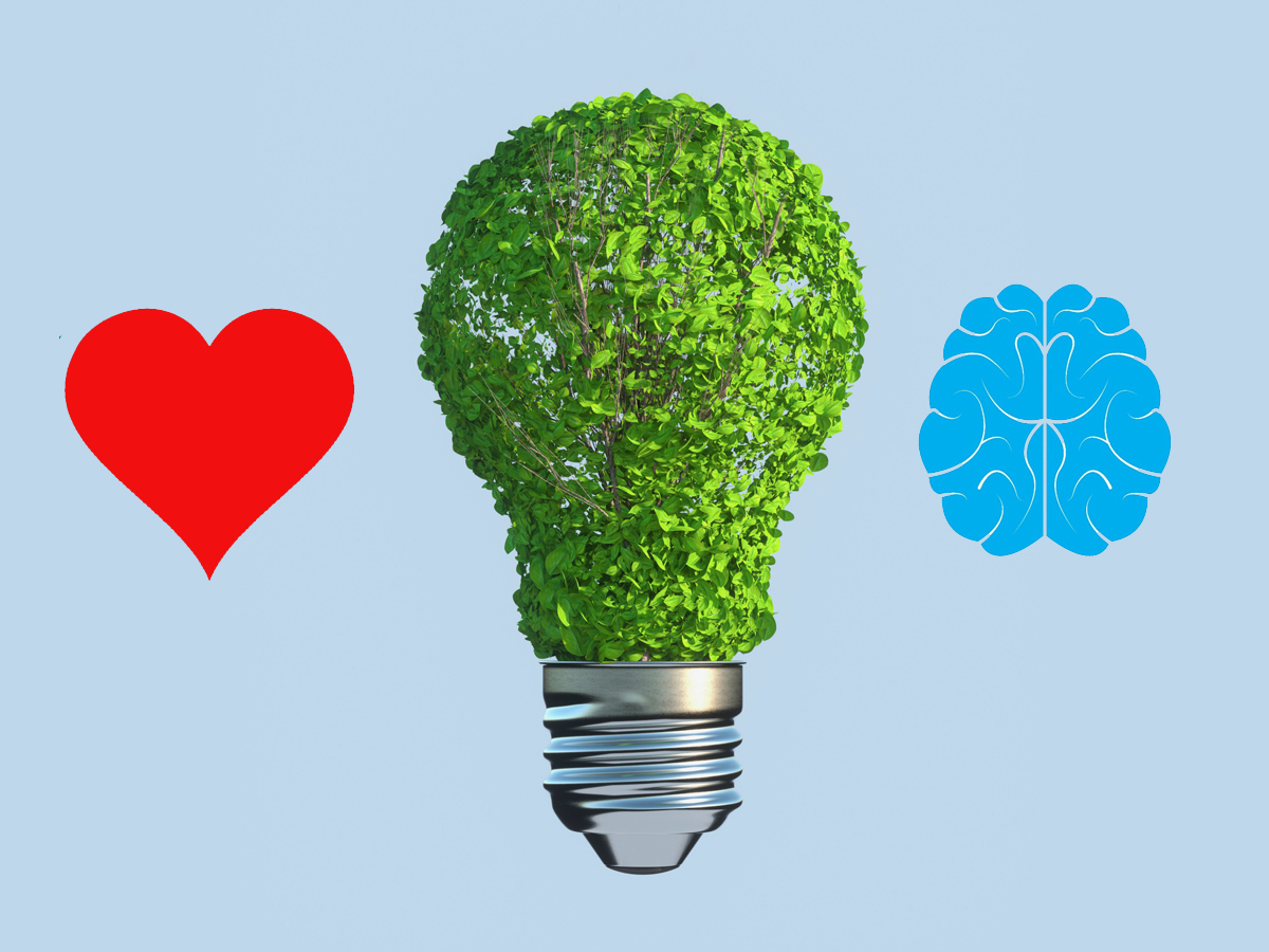 Symbolisches Bild für Führen mit Sinn und Konsens, Grafiken für Herz,, Gehirn und eine grüne, nachhaltige Glühbirne
